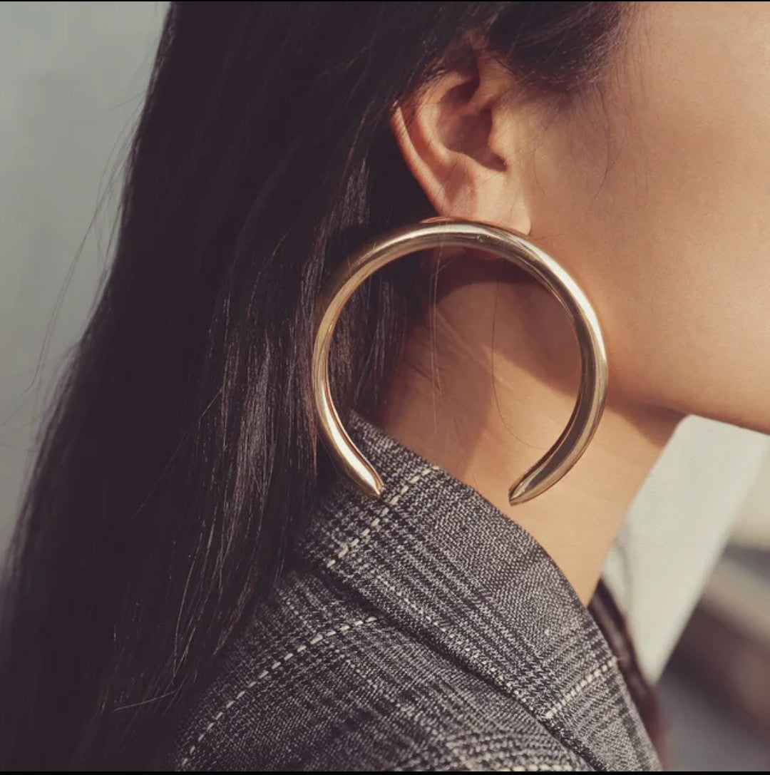 Horse shoe shaped earrings