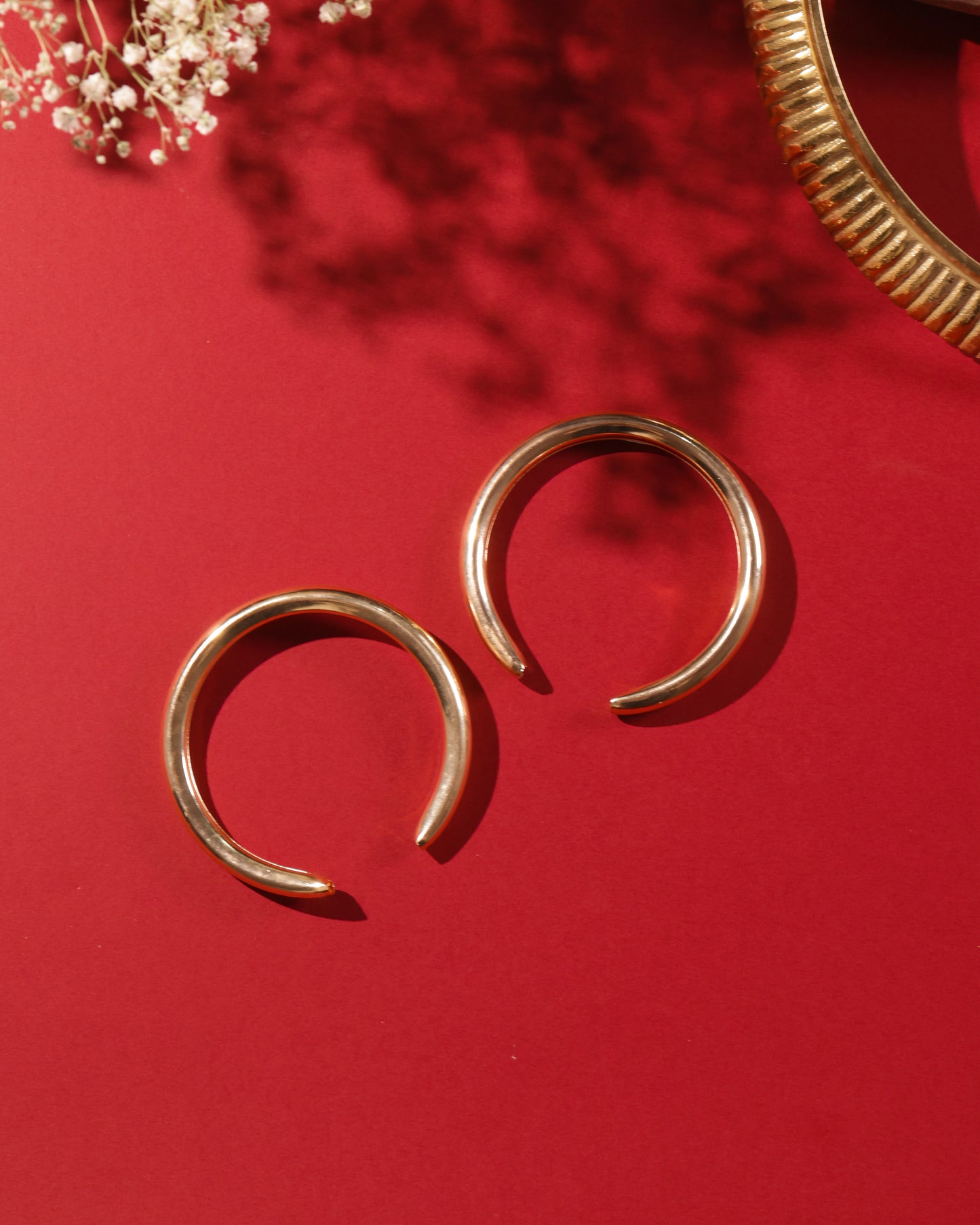 Horse shoe shaped earrings